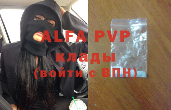 ГАЛЛЮЦИНОГЕННЫЕ ГРИБЫ Заводоуковск