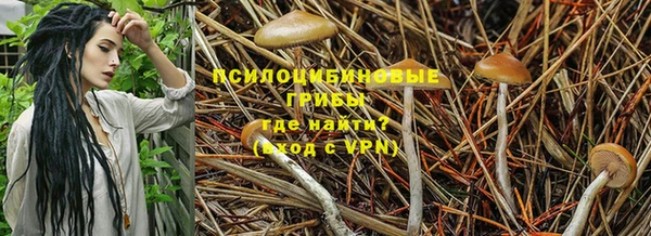 МДМА Заволжск