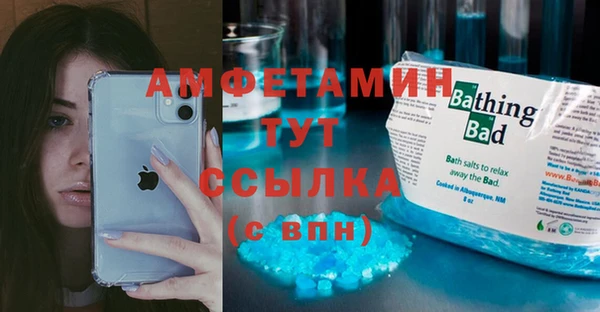 шишки Чегем