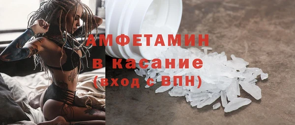 шишки Чегем